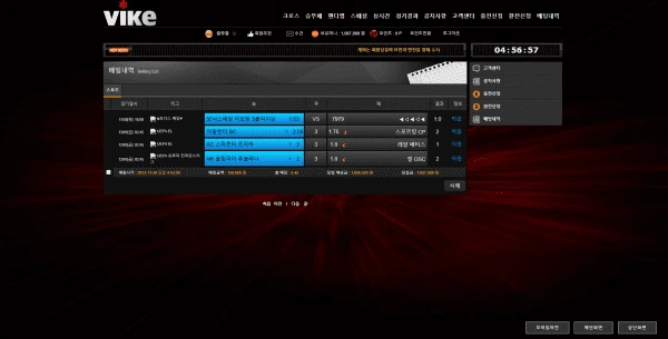 먹튀-토토사이트-바이크벳-VIKE-베팅내역