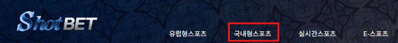 국내형.png