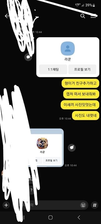 라쿤2.jpg