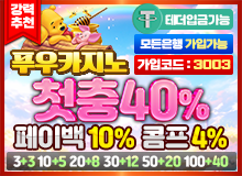 보증업체푸우카지노