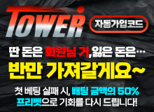 보증업체타워벳