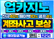 보증업체업카지노